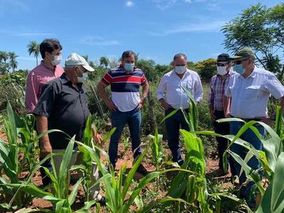 Productores de Misiones reciben más de 547.000.000 de inversión, por parte del MAG