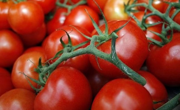 Ministerio de Agricultura libera por cupo la importación de tomates