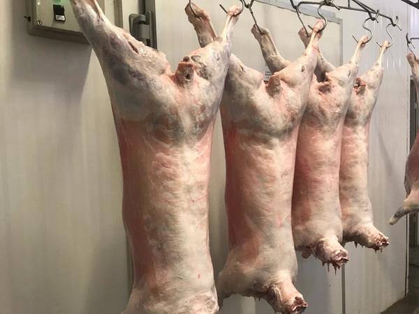 Qatar pretende importar carne ovina de Paraguay en corto plazo