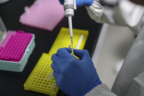Inmunidad contra el COVID se da un mes después del contagio o la vacunación - Nacionales - ABC Color