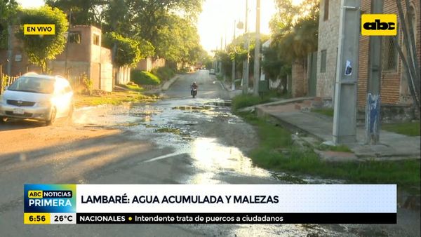 Agua acumulada y malezas en el barrio Santa Rosa II de Lambaré - ABC Noticias - ABC Color