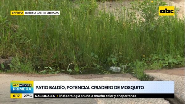 Baldíos abandonados con malezas por doquier son ideales para que el Aedes se reproduzca - Nacionales - ABC Color