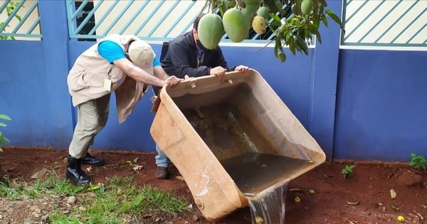 La Nación / Piden declarar el “Día Nacional de lucha contra el dengue” en Paraguay