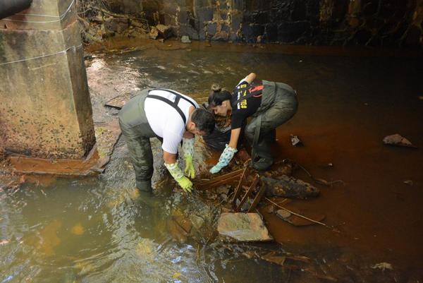 Prosiguen las tareas de recuperación del arroyo Amambay