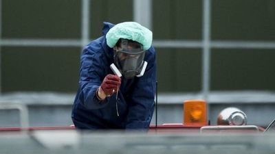 Hong Kong detecta por primera vez un brote de gripe aviar altamente patógena