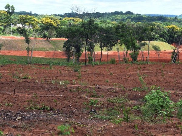 Constataron desmonte y falta de licencia en la granja de diputado