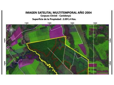 Ganadera sancionada por supuesta deforestación pide   reconsideración