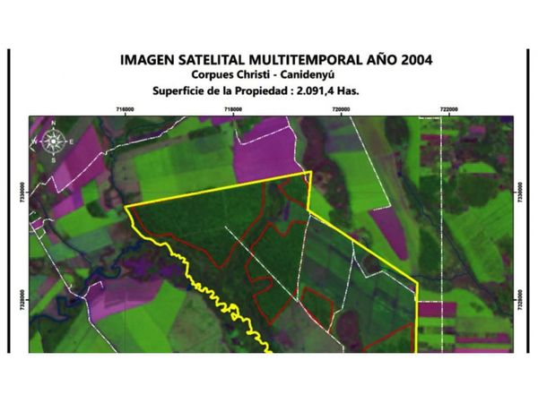 Ganadera sancionada por supuesta deforestación pide reconsideración