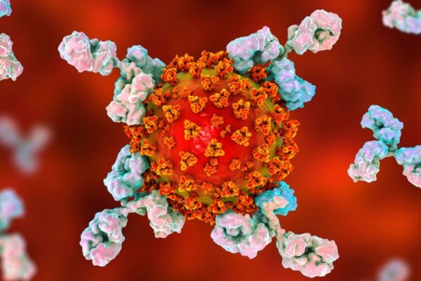 Variante británica del Sars-Cov-2 ya circula en más de 50 países