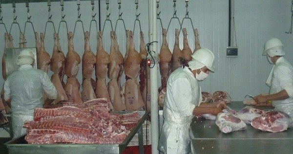 La Nación / Paraguay exportó más carne porcina durante el 2020