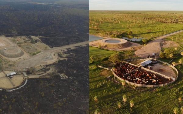 ¡Impresionante! En imágenes lo que vivió el campo: sequía, incendios y lluvias