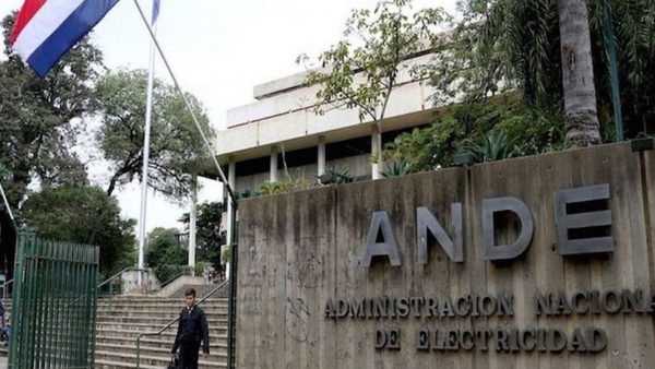 ANDE, más de 6.500 deconexiones a usuarios por mora