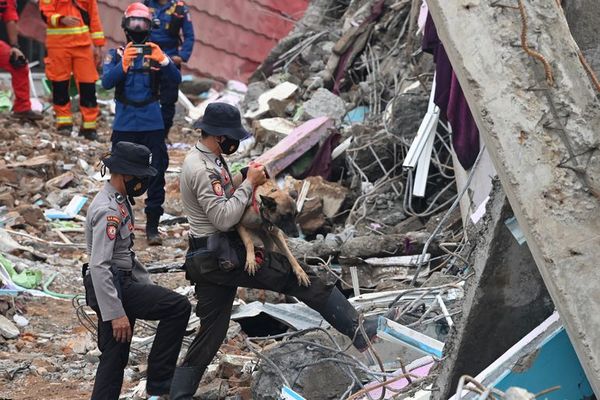 Lluvias torrenciales dificultan búsqueda de supervivientes de sismo en Indonesia - Mundo - ABC Color