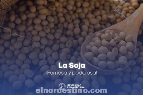 El consumo de 25 gramos diarios de proteína de soja proporciona beneficios cardiovasculares según Universidad Sudamericana