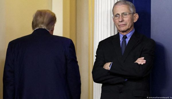 Principal epidemiólogo de USA advierte: cepa brasileña de covid sería más jodida de lo que cree