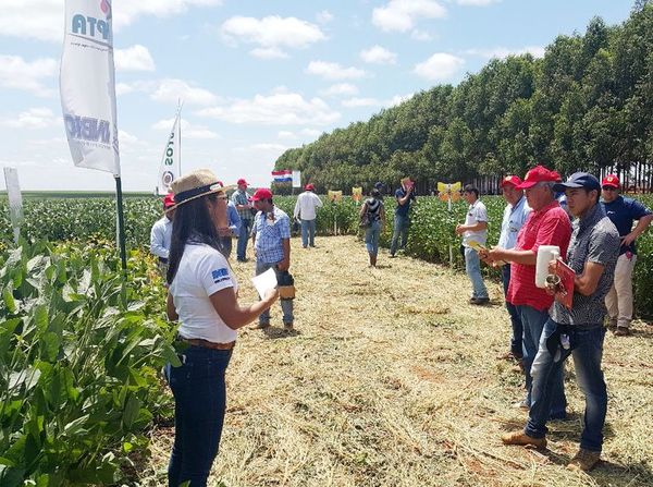 Brasil autoriza cultivo de soja paraguaya - Nacionales - ABC Color
