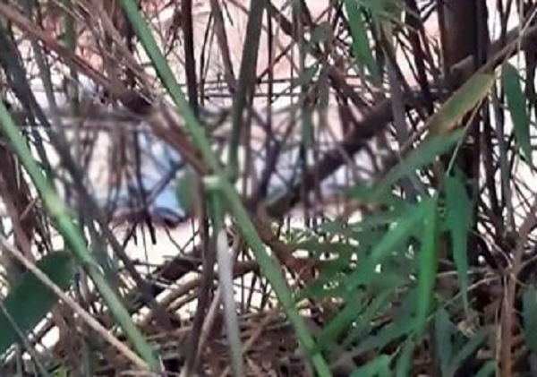 Hallan cadáver de un hombre en arroyo - Noticiero Paraguay