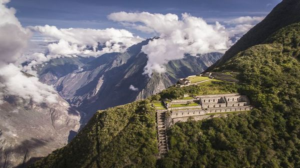 Avistan osos de anteojos en ciudadela inca de Machu Picchu - Mundo - ABC Color