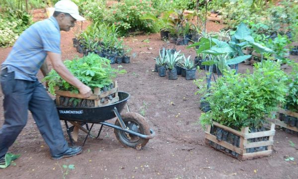 Donan plantines a Municipalidad de CDE