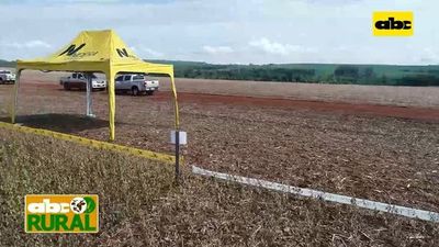ABC Rural: Nidera y sus variedades en jornada de campo en Copronar - ABC Rural - ABC Color