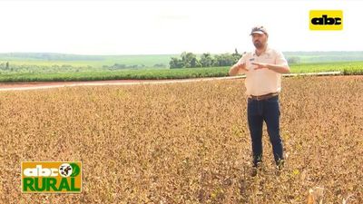 ABC Rural: Variedades Monsoy en jornada de campo en Copronar - ABC Rural - ABC Color
