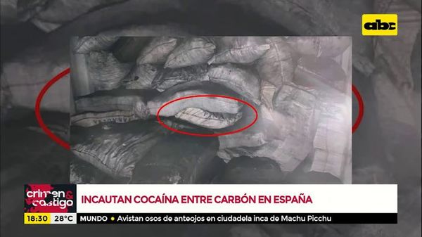Incautan cocaína entre carbón en España - Crimen y castigo - ABC Color