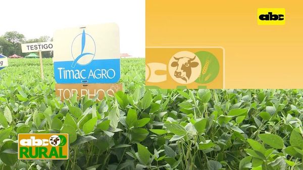 ABC Rural: Fertilizantes y bioestimulantes con Timac Agro en Pirapó - ABC Rural - ABC Color