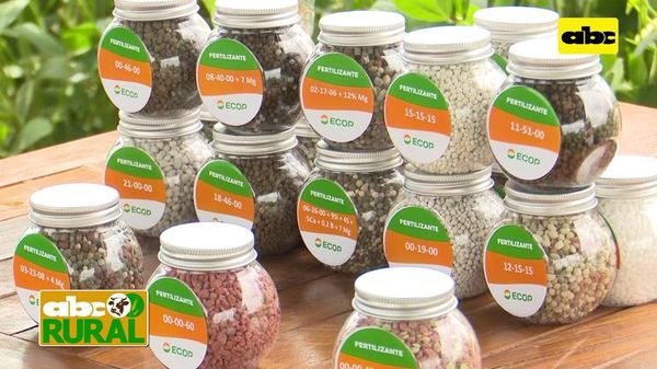 ABC Rural: Ecop y sus fertilizantes presente en jornada de campo de Pirapó - ABC Rural - ABC Color