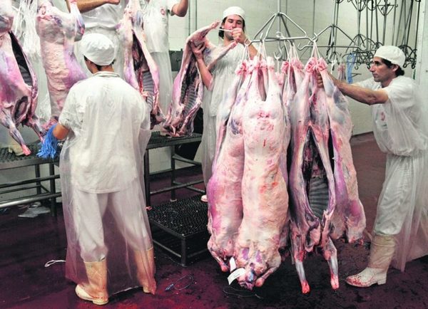 Frigoríficos se interesan por la carne ovina ante oportunidades de exportación