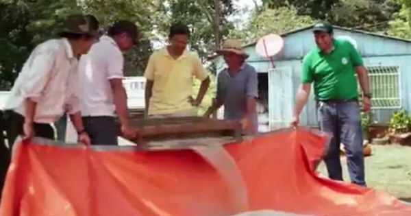 La Nación / Marca Paraguay destaca video promocional sobre sésamo exportado al Japón