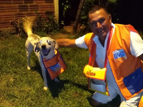 Indio, el perrito vendedor de bingo: "Él le ladra a la gente para que compren un cartón"