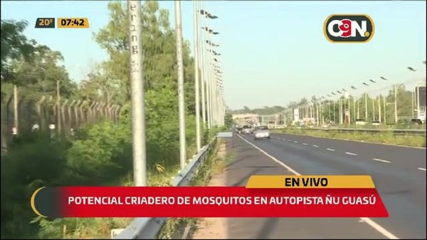 La Autopista Ñu Guazú se volvió un potencial criadero de mosquitos - C9N