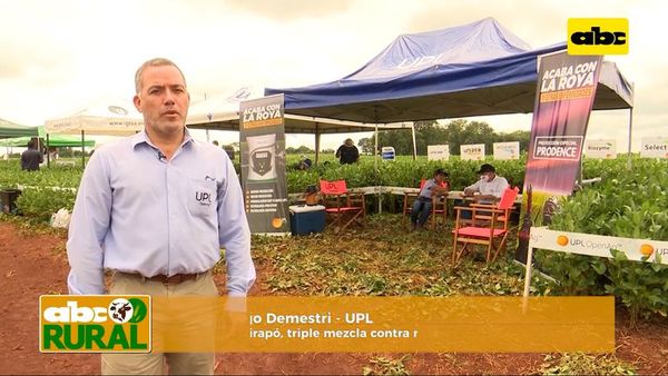 UPL presente en Pirapó con un nuevo producto - ABC Rural - ABC Color