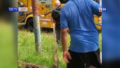 Detectan a kurijú en zona residencial de Cordillera | Noticias Paraguay