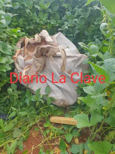 Hallan cadáver de agricultor desaparecido en San Fe del Paraná
