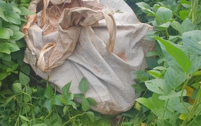 Encuentran muerto a agricultor