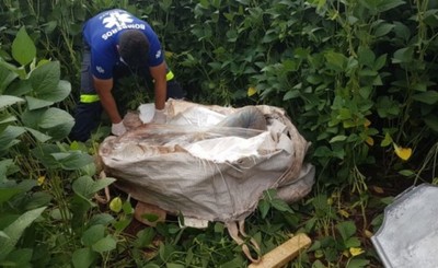 Agricultor desaparecido es hallado muerto dentro de una bolsa