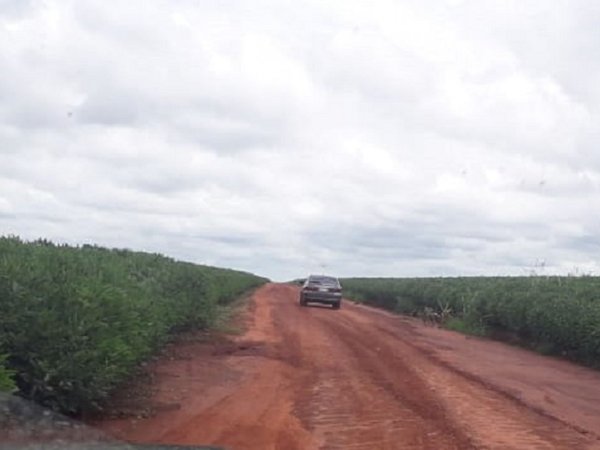 Al vuelo de cuervos, buscan a desaparecido en La Paloma