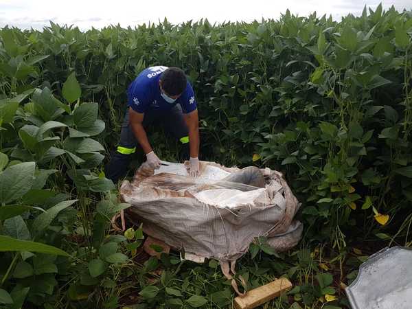 Hallan cadáver de BRASILEÑO en una BOLSA arrojada en medio de un SOJAL