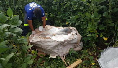 Hallan el cadáver de agricultor desaparecido dentro de una bolsa - Noticiero Paraguay