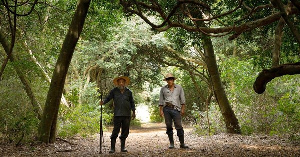 La Nación / “Matar a un Muerto” la película paraguaya que compite en la 93° edición de los Premios de la Academia