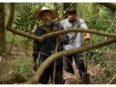 Películas paraguayas aguardan la mejora del sector para estrenarse