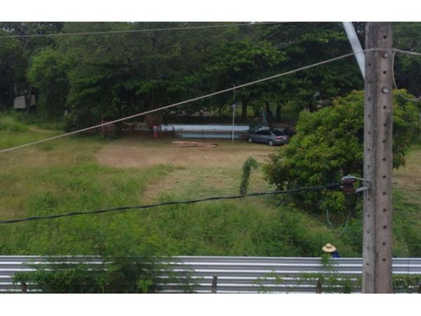 Denuncian tala de árboles para construir un centro comercial