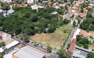 Lamentan que Asunción se quede sin pulmones - Nacionales - ABC Color