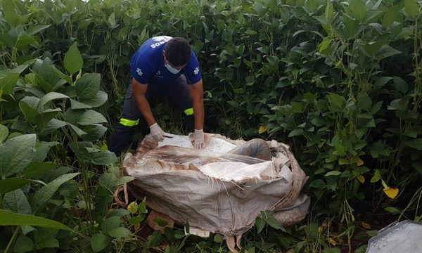 Cadáver de agricultor desaparecido es encontrado en una bolsa de arpillera – Diario TNPRESS