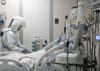 ¿Por qué muta el coronavirus? - Ciencia - ABC Color