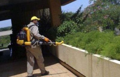 Funcionarios de Senepa aprovechan temporada de dengue para ir a huelga