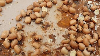 Concepción: Denuncian que recibieron kits de alimentos en mal estado | OnLivePy