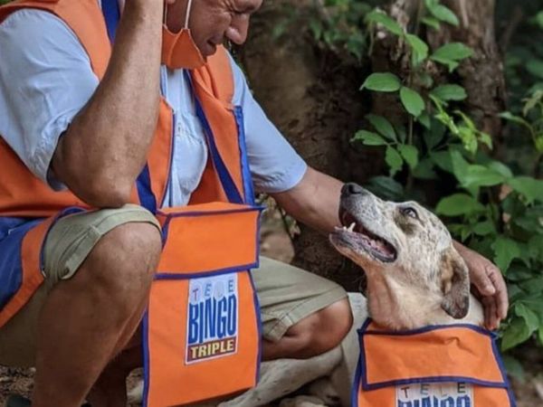 Llenan de regalos a Indio, el perro binguero