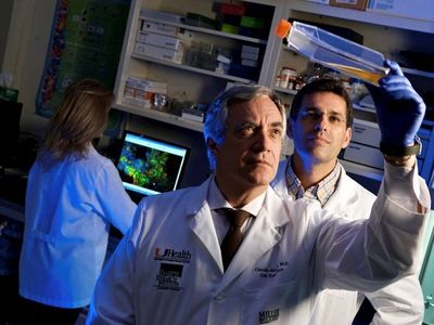 ¿Por qué muta el coronavirus? Científicos llaman a la calma